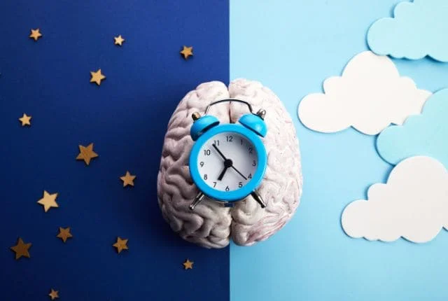 Mécanisme insomnie — cerveau et sommeil — hypnose L'Isle-Adam Val d'Oise