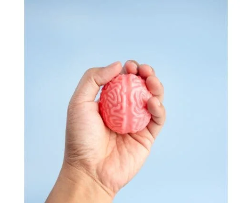 stress-chronique-adaptation-cerveau-hypnose-val-doise Stress réponse adaptation — différence stress et anxiété — hypnose L'Isle-Adam Val d'Oise