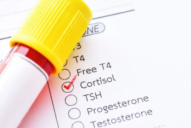 Stress chronique cortisol cerveau — gestion du stress L'Isle-Adam Val d'Oise